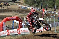 _ROB6888 (Copy)